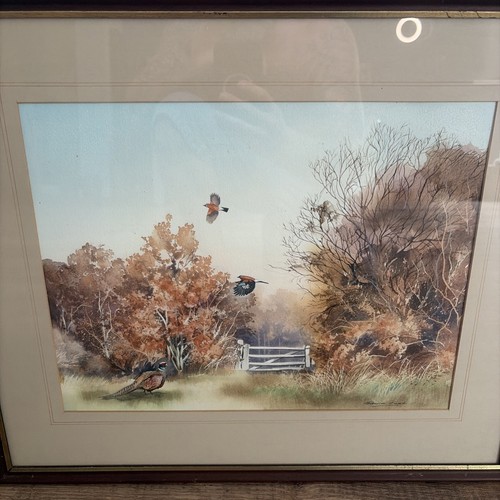 David fash framed - framed, pheasant