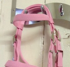  WEB BRIDLE with FLASH. washable Shetland, Small Pony, Pony, Cob, F/S COLOURS