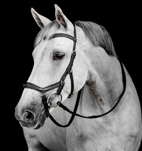 Horseware micklem deluxe - horseware,