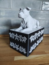 Staffordshire Bull Terrier