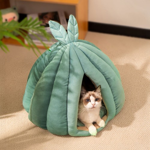 Pet cat warm soft house - cat,