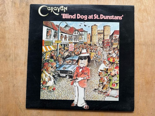 Caravan blind dog at st - caravan,