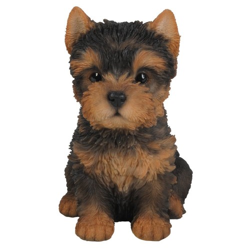 Pet pals yorkshire terrier - pals,