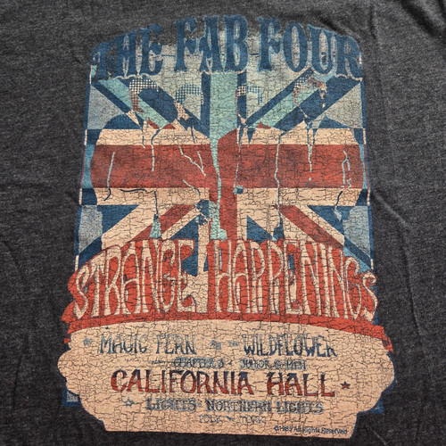 Rare the fab four strange - four,