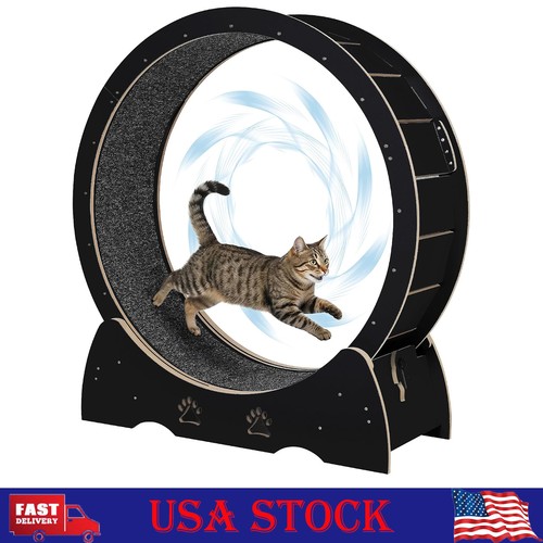 Wooden cat exercise wheel 3 - exercise,
