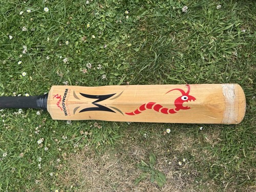 Woodworm the wand freddie - the,