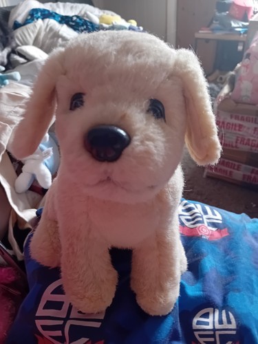 Andrex puppy plush 26cm - andrex,