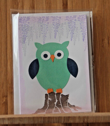 Animals owl frog bird - frog, cat