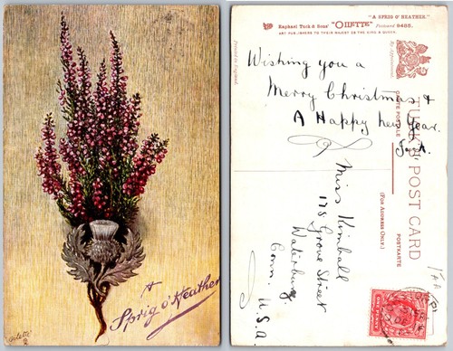 Sprig heather postcard - heather,