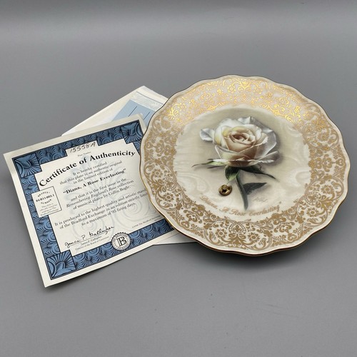 Princess diana rose - princess,