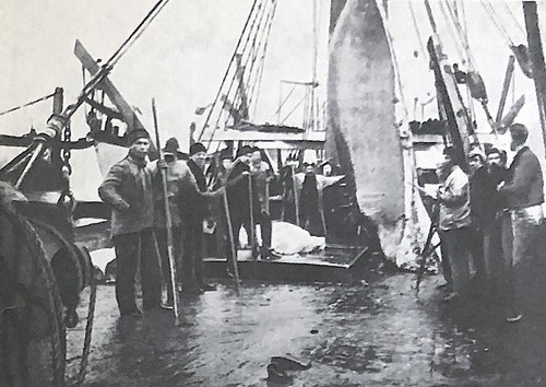 Arctic whalers 1937 - arctic,