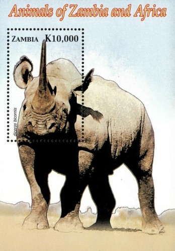 Zambia 2005 elephant - 2005,