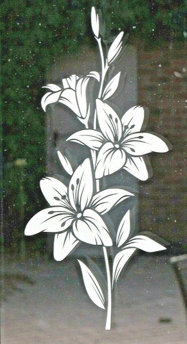 Frosted etched glass vinyl - frosted, /