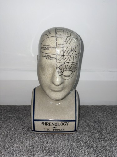 Phrenology bust fowler - phrenology,