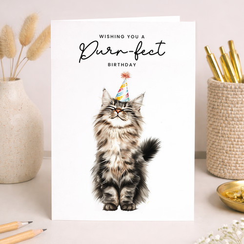 Maine coon cat birthday - maine,