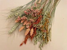 DRIED FLOWERS NATURAL &