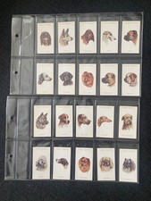 Dogs' Heads Cigarette Cards