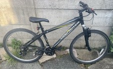 Mountain bike - mountain,