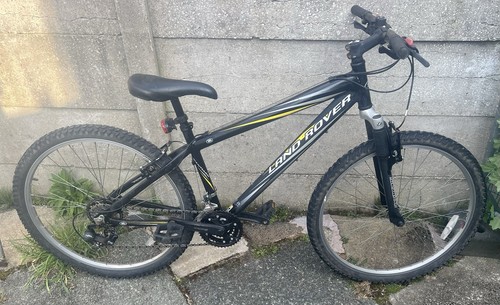 Mountain bike - mountain,