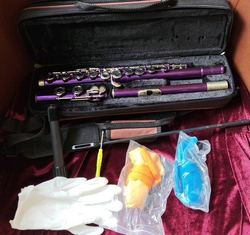 Eastar flute with carry - eastar,