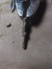 Rex tooth serration fagment - serration,