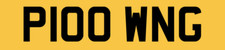 Snow Plow Plowing Plows Grit Gritter Personal number plate private reg P100 WNG