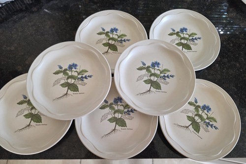 Set poole pottery country - set, 7