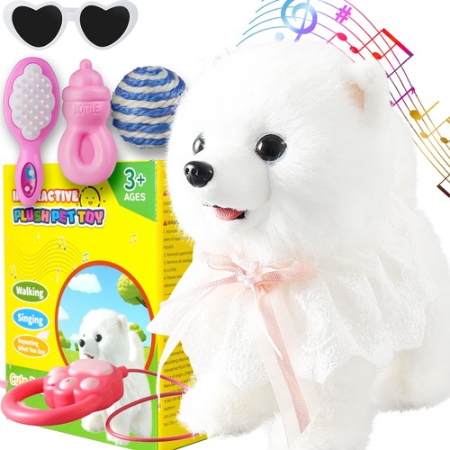Marsjoy samoyed walking - samoyed,