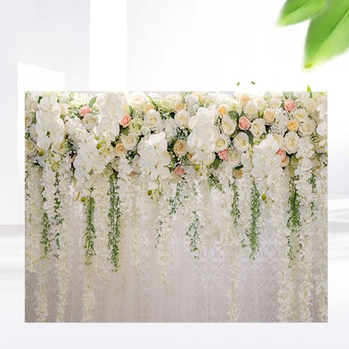 Photographic backdrop rose - 3d,