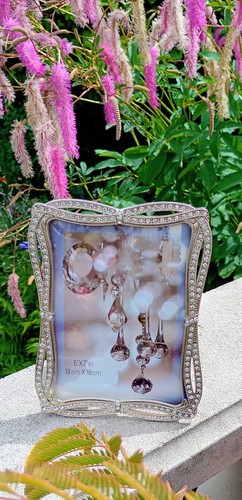 Beautiful silver diamante - silver,