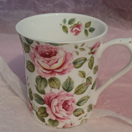 Queen china cottage rose - 'cottage, rose'