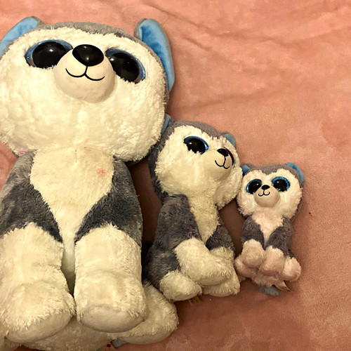 Set husky soft toys plush - husky,