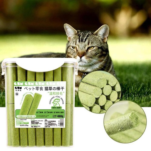 Cat grass teething stick - stick, pet