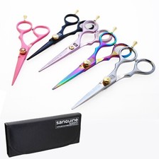 Professional Hair Scissors