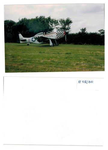 Photograph mustang big - -, p-51