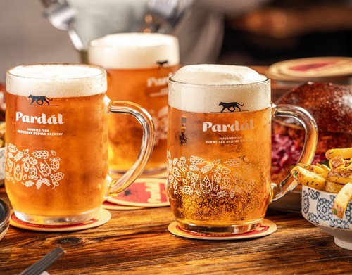 Pardal glass pint tankard - glass, 20oz