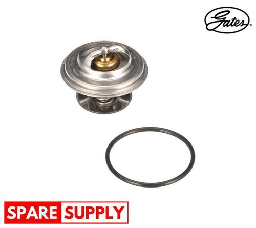 Thermostat coolant for man - coolant,
