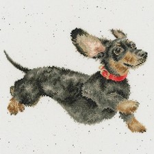 Friday Feeeling Dachshund