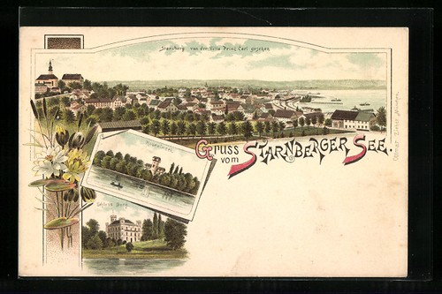 Lithograph starnberg partial - lithograph,