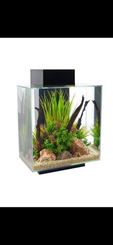 Fluval edge 46l aquarium - 2.0,