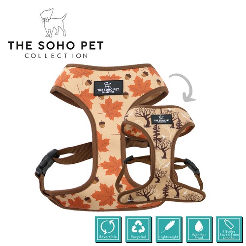 Matching dog collar lead - matching,