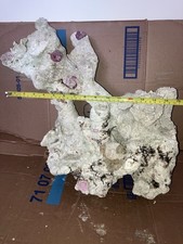 TB2 Tonga Multi Branch Dry