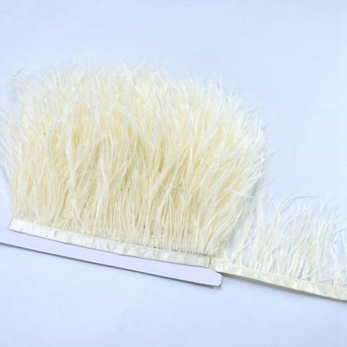 High quality metre ostrich - metre,