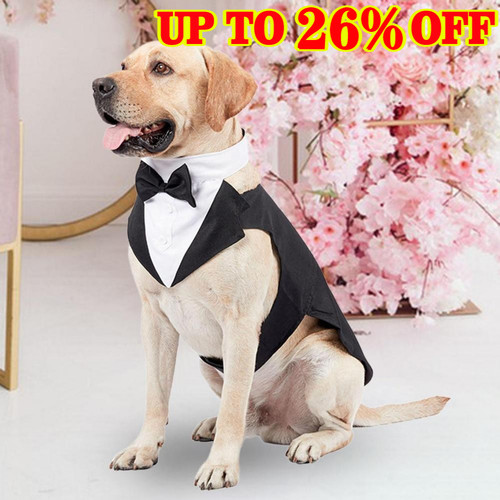 Dog tuxedo suit - tuxedo,