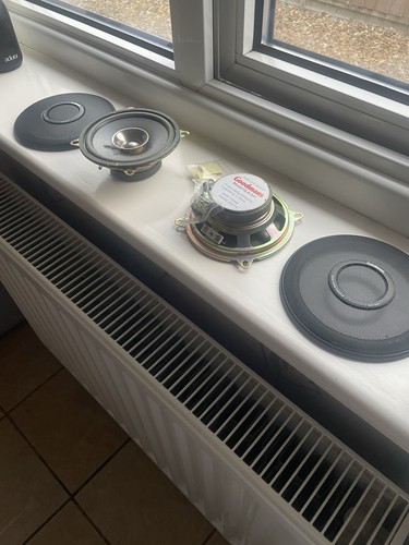Goldman dual cone - cone, speaker