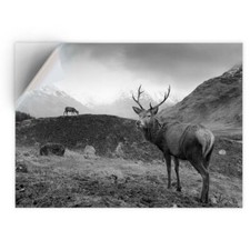 1 x Vinyl Sticker A4 - BW -