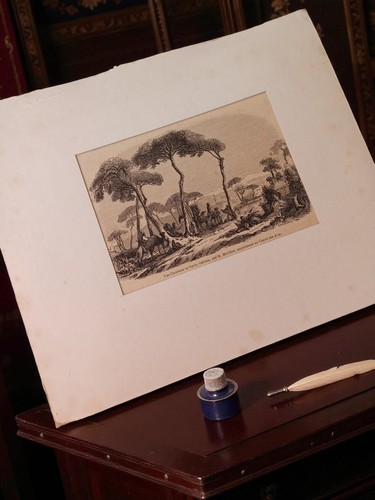 Antique syria landscape - syria,