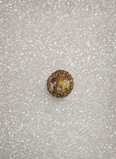 Assistant Field Executive