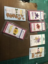 Spellbinders Dies Flowers