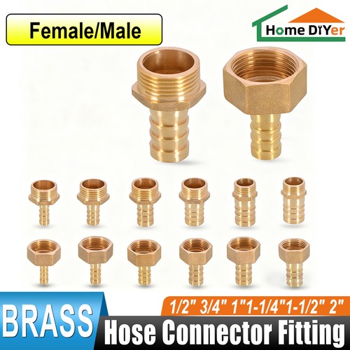 Straight female male - straight, female/male